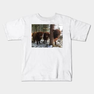 Scottish Highland Cattle Calves 1961 Kids T-Shirt